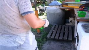 Тротуарная плитка, брусчатка своими руками из лотков если нет вибростола и форм для плитки
