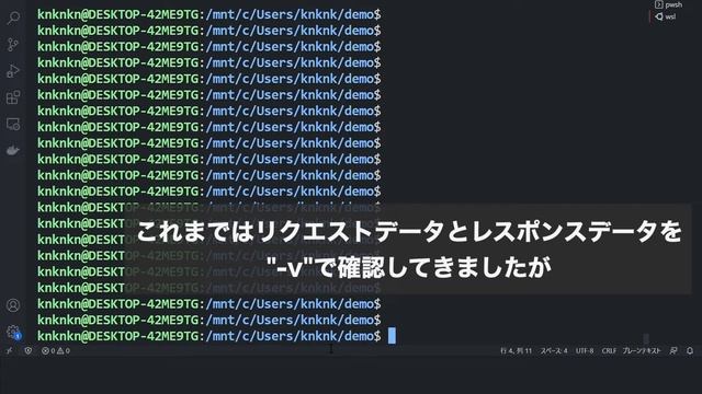 【Linuxコマンドで】curl + httpbinで試せるWeb APIの使い方【初心者向け、プログラミング不要】 смотреть онлайн