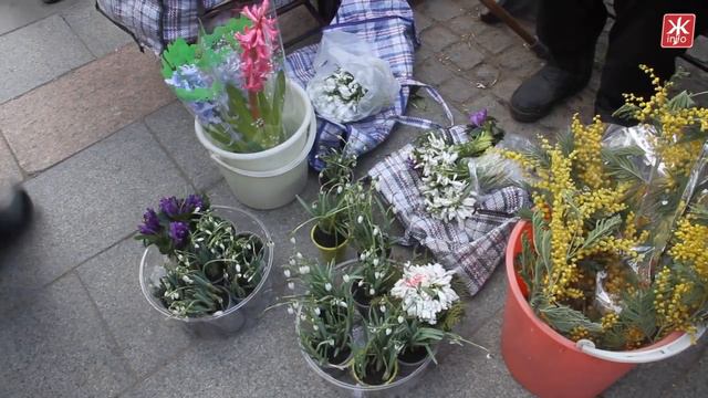 У Житомирі напередодні 8 березня «розцвіли» квіткові ринки - Житомир.info смотреть онлайн