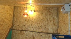 обустройство курятника