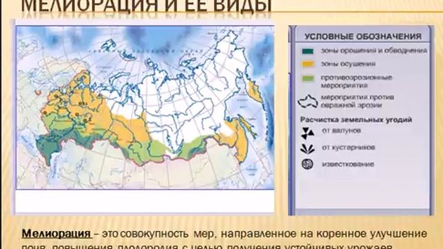 Почвы России урок географии в 8 классе смотреть онлайн