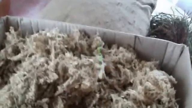 Пчеловодство. Мох в утеплительных подушках смотреть онлайн