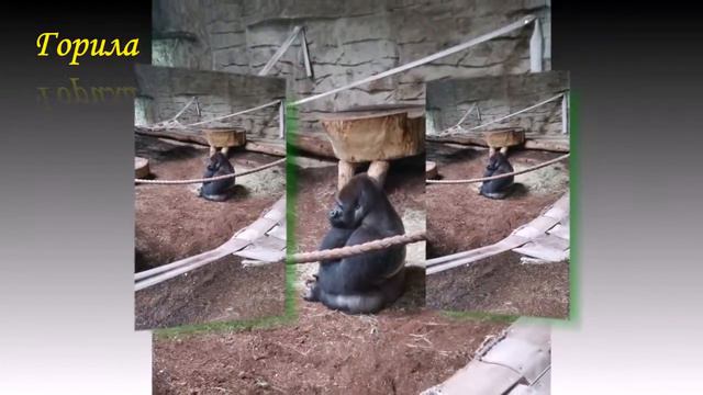Поездка в Варшаву смотреть онлайн