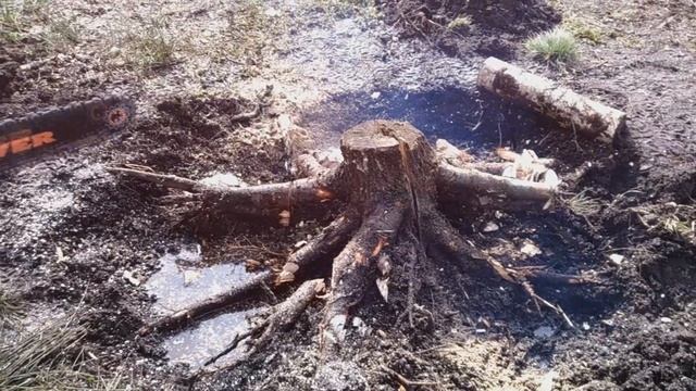 как удалить пни бюджетный способ смотреть онлайн