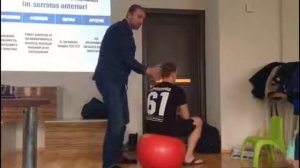 Как легко и просто запомнить функции мышц, когда учишь анатомию?