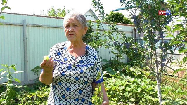 Вкусные идеи