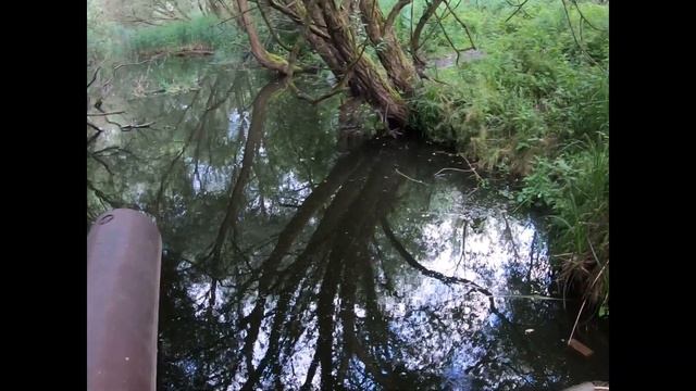 ИСТОЧНИК ЖИЗНИ КАРП . \ ВОДяНАЯ СВИНЬЯ\ В КОЛДОВСКОМ ОЗЕРЕ смотреть онлайн