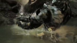 БИТВА - РОСОМАХА против ХИЩНИКА !