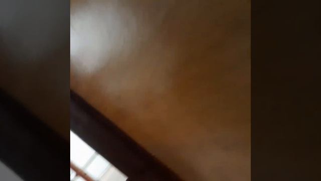 настаясяя видео скрытая камера в классе смотреть онлайн