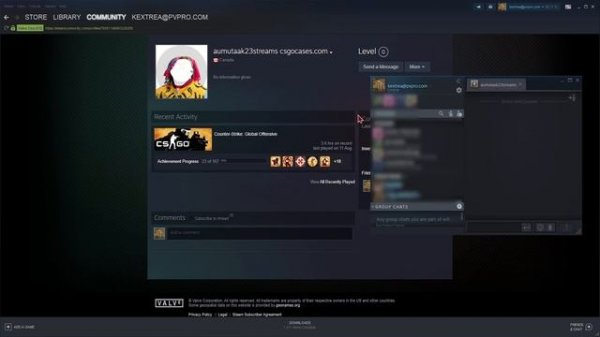 STEAM CHAT ERROR FIX! (Something went wrong while displaying this content)