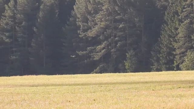 Низкий полет полевого луня смотреть онлайн