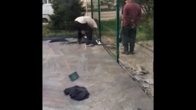 Детские игровые комплексы смотреть онлайн