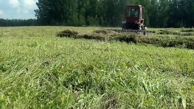Т 25,#Владимирец и навесные гидравлические поперечные грабли . смотреть онлайн