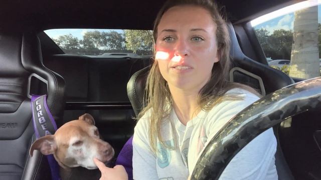 Drive with me to Starbucks смотреть онлайн