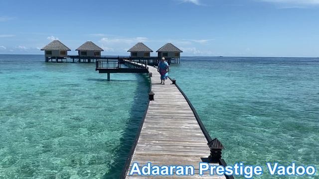 2022-10-31 смотреть онлайн