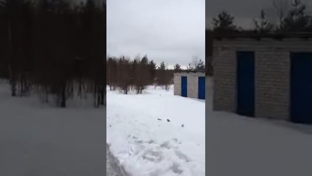 REKTORuk Станция Холмогорская Архангельская область Поезд ЛДПР остановился для встречи с жителями смотреть онлайн