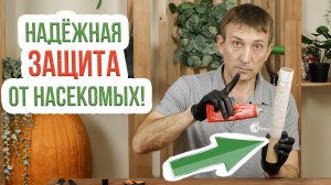 Как сделать ловчий пояс для плодовых деревьев? Защита сада от вредителей