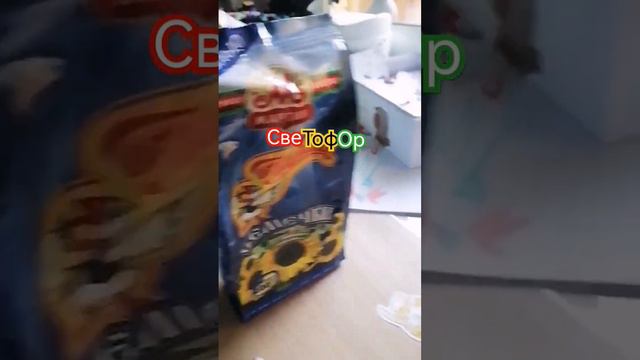 реклама Светофор, Скидка на Семечки и крекеры #реклама смотреть онлайн