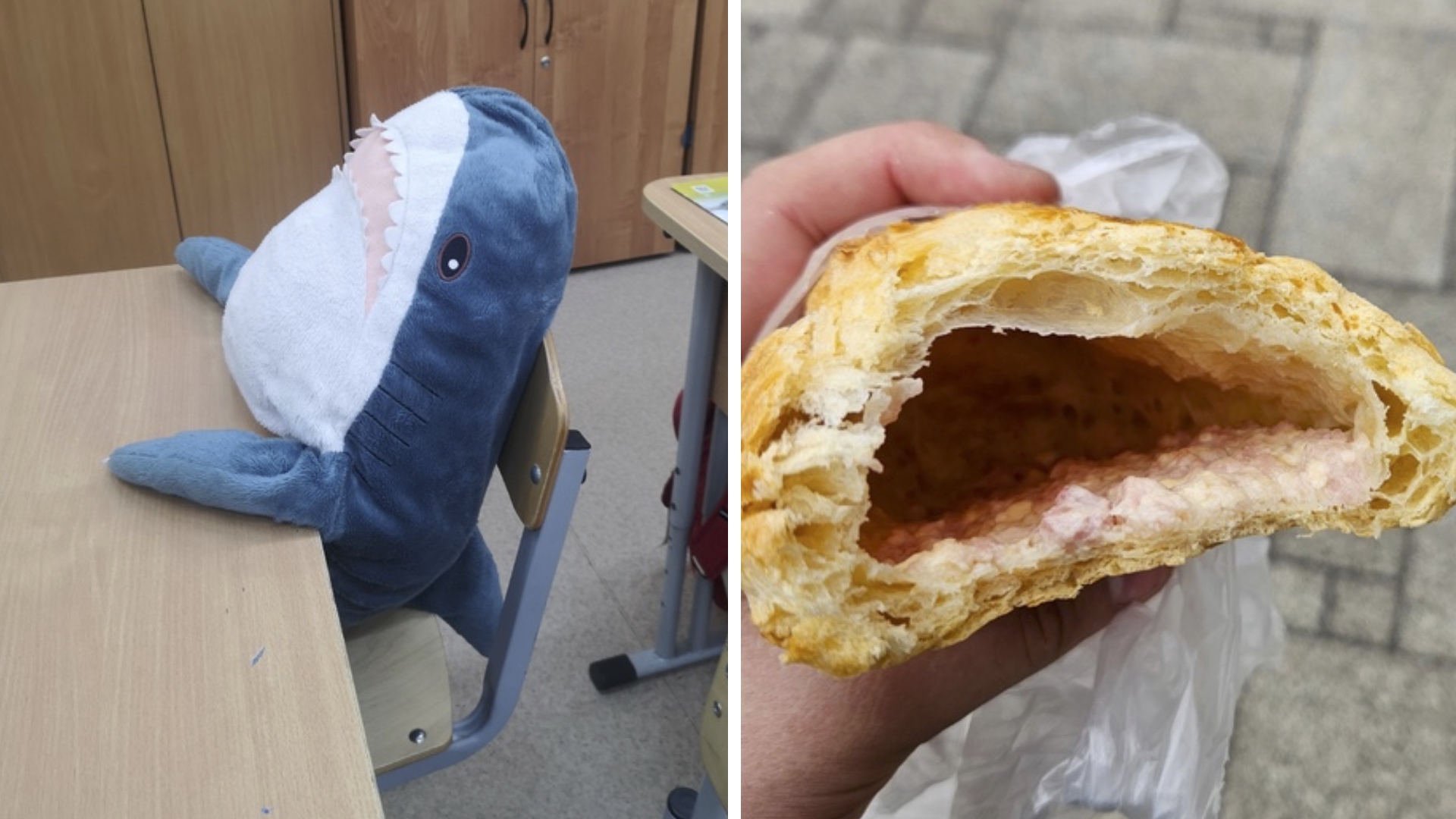 Фото подписчиков Фактории (212 часть) смотреть онлайн