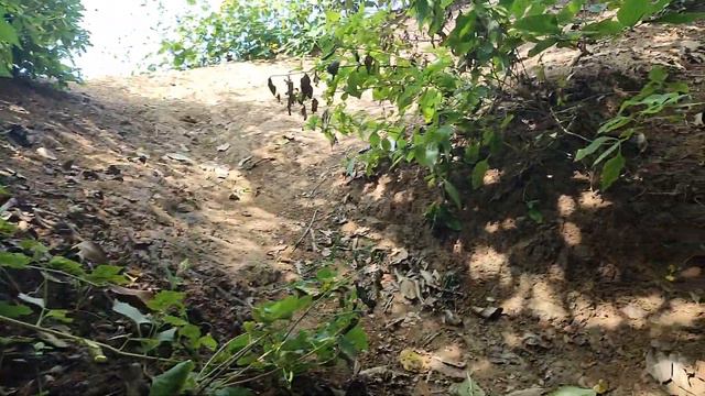 К новым пляжам через океан смотреть онлайн