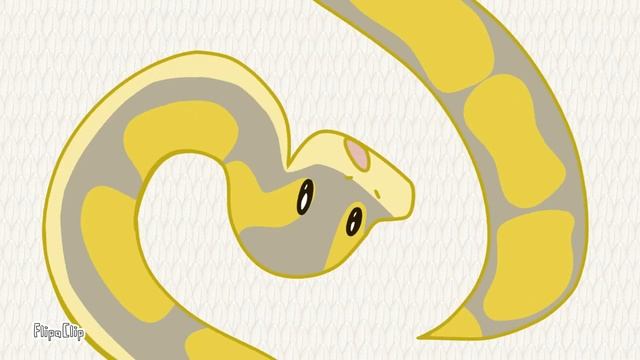 Close up meme | Banana ball python смотреть онлайн