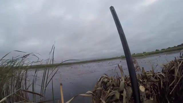 Охота на утку 2017 смотреть онлайн