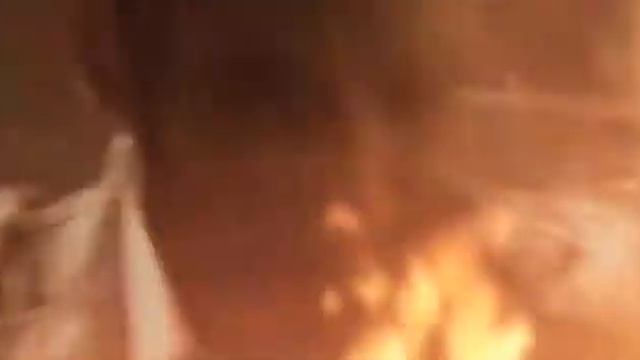 Casebook Episode 3: Snake In The Grass - Fight смотреть онлайн