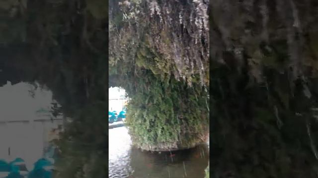 9-Й ДЕНЬ после Дня Рождения. Путешествия, образование и расширение горизонтов! смотреть онлайн