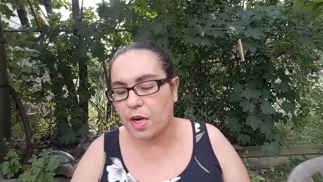 DOLLAR TREE HAUL ? | ALL NEW ITEMS | AUGUST 13 2018 смотреть онлайн