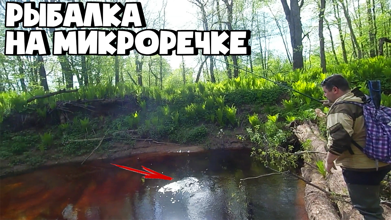 РЫБАЛКА НА ЕЛЬЦА В ЛЕСНОЙ РЕЧКЕ! ЛОВЛЯ ЕЛЬЦА В РУЧЬЕ! смотреть онлайн