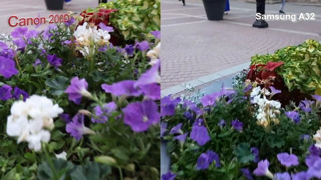 Сравнение записи видео Canon EOS 200D vs Samsung A32 смотреть онлайн