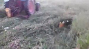 Сегментная косилка к трактору Т-25