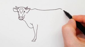 How to draw a Cow step by step - Learn to draw Animals