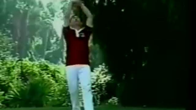 Taiji Qigong ( Tai Chi Chi Kung ) Shibashi 18 Movements - Linhou Seng смотреть онлайн