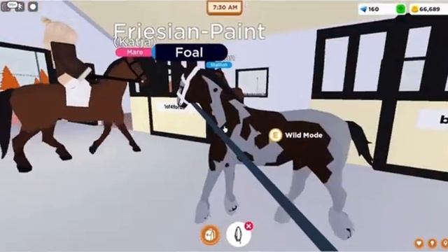 BREEDING MY PAINT HORSE+FRIESIAN!-Horse Valley Roblox смотреть онлайн