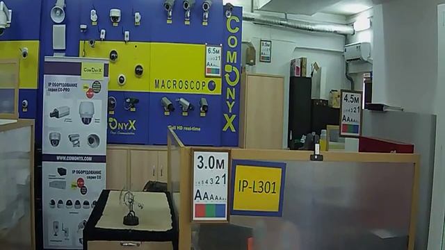Видео с Купольной IP-камеры IP-L301 ОФИС день. смотреть онлайн