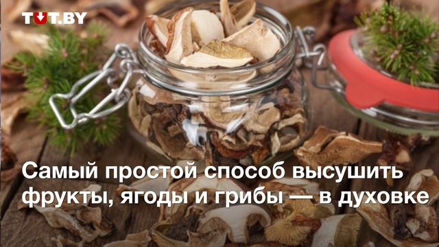 Что и как заготовить на зиму смотреть онлайн