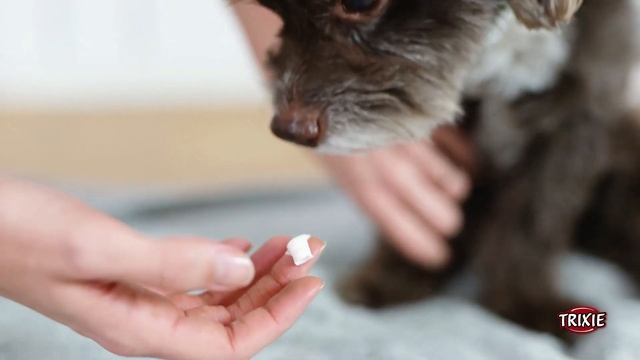 Крем TRIXIE для ухода за лапами собак и кошек. #крем #зоотовары #домашниеживотные смотреть онлайн