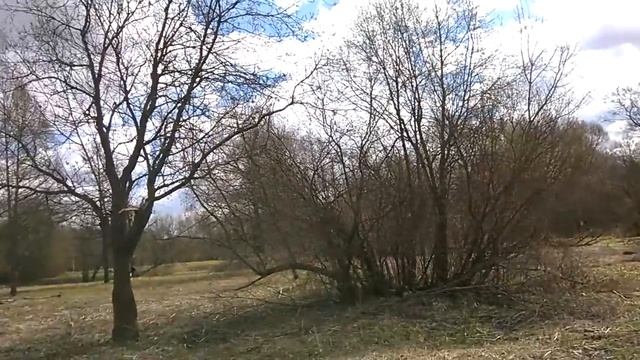 Измайловский парк, подходим к реке Серебрянке, камни памятники на поляне смотреть онлайн