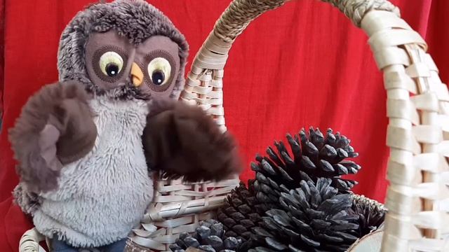 Где спят зайцы смотреть онлайн