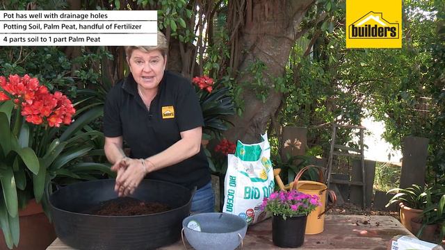 How To Plant On A Hanging Basket