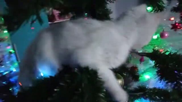 "Тихо, тихо, сказку напевая...". Зимняя сказка со Снежком. ❄️?️❄️?️❄️?️❄️?️☃️❄️?️❄️?️❄️?️❄️?️ смотреть онлайн