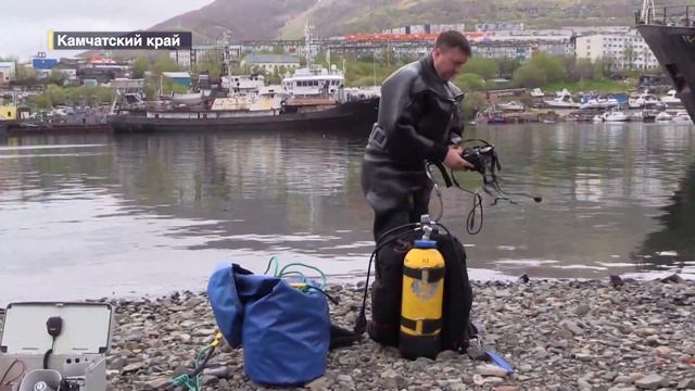 Всегда готовы прийти на помощь: на Камчатке прошли тренировочные погружения водолазов смотреть онлайн