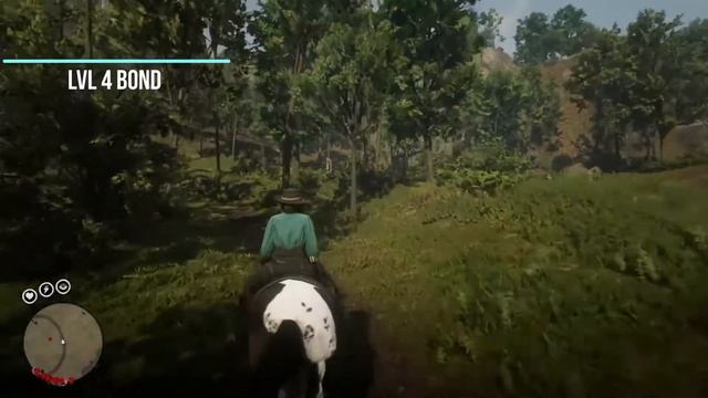 rdo horse bravery test 2: cougar edition смотреть онлайн