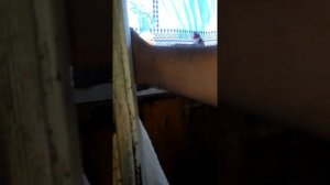 Холодильник СССР Днепр