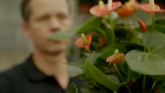 Certi-Care смотреть онлайн