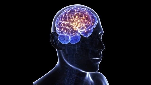 ЧТО ТАКОЕ СОН? | ПОЧЕМУ МЫ ВИДИМ СНЫ? смотреть онлайн