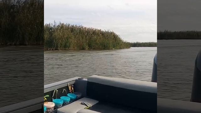 Рыбалка в Астрахани 25 .09.2021 смотреть онлайн