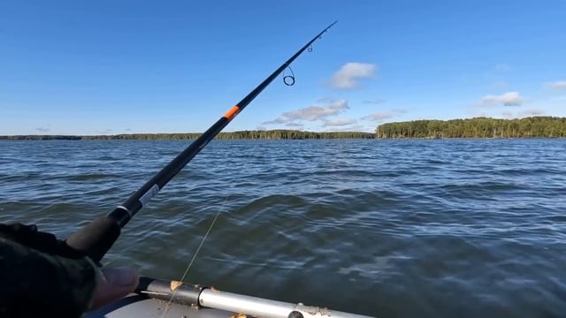 Яузское вдхр ОСЕНЬЮ! Ловля СУДАКА на ДЖИГ! Ловля на ПОРОЛОН! смотреть онлайн