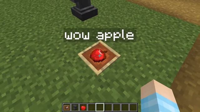 Minecraft 1.16.4: How to make a item frame with a tag смотреть онлайн